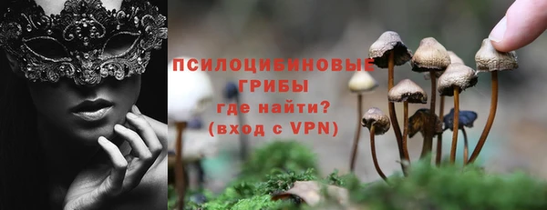 кокс Корсаков