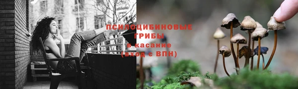 кокс Корсаков
