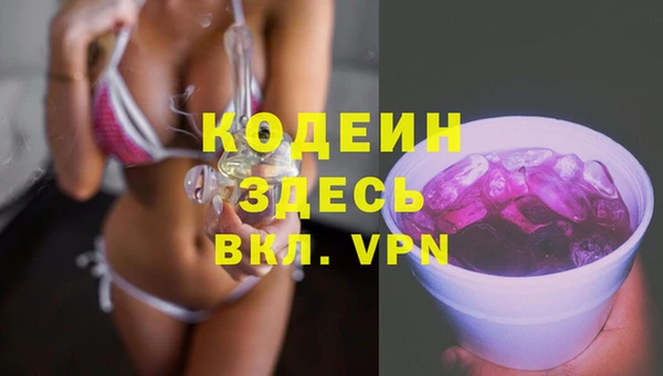 дживик Костерёво