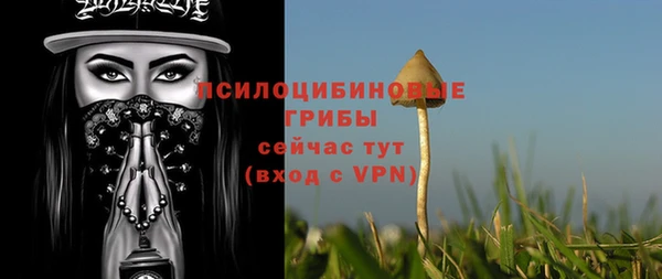 кокс Корсаков