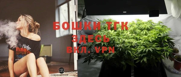 кокс Корсаков