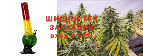 дживик Костерёво